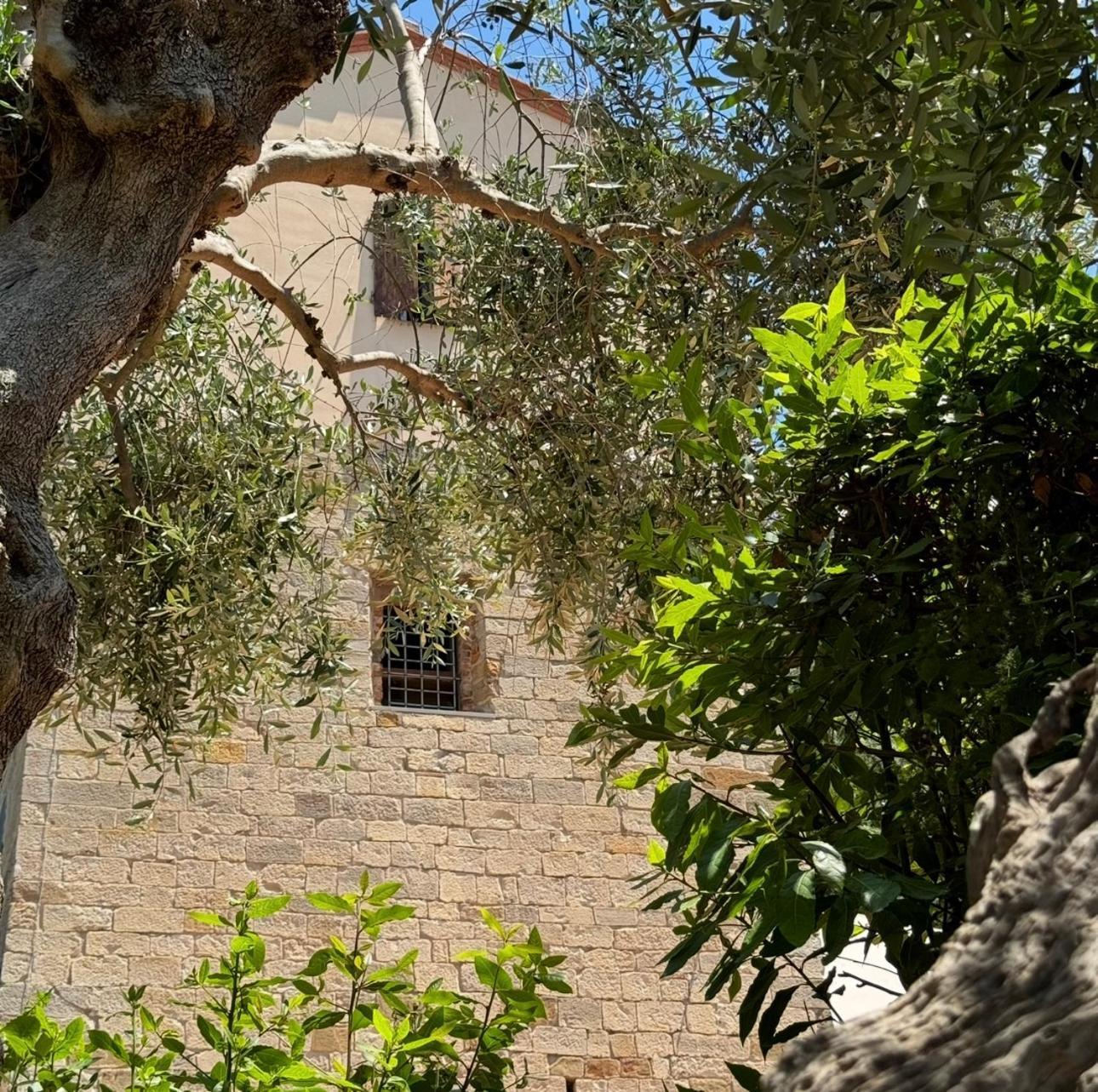 Aparthotel Madonna Del Poggio Cav Scarlino Exteriér fotografie