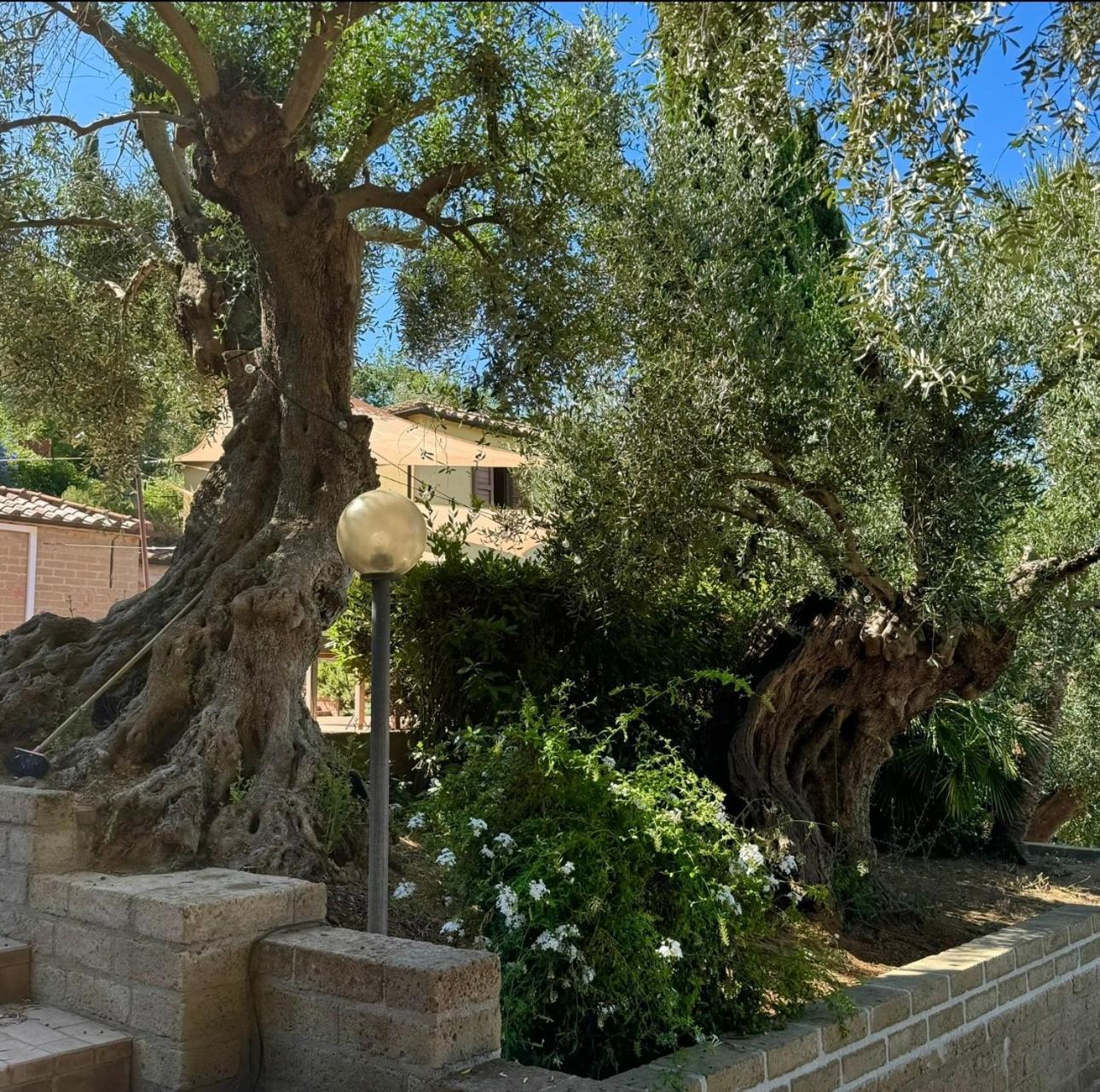 Aparthotel Madonna Del Poggio Cav Scarlino Exteriér fotografie