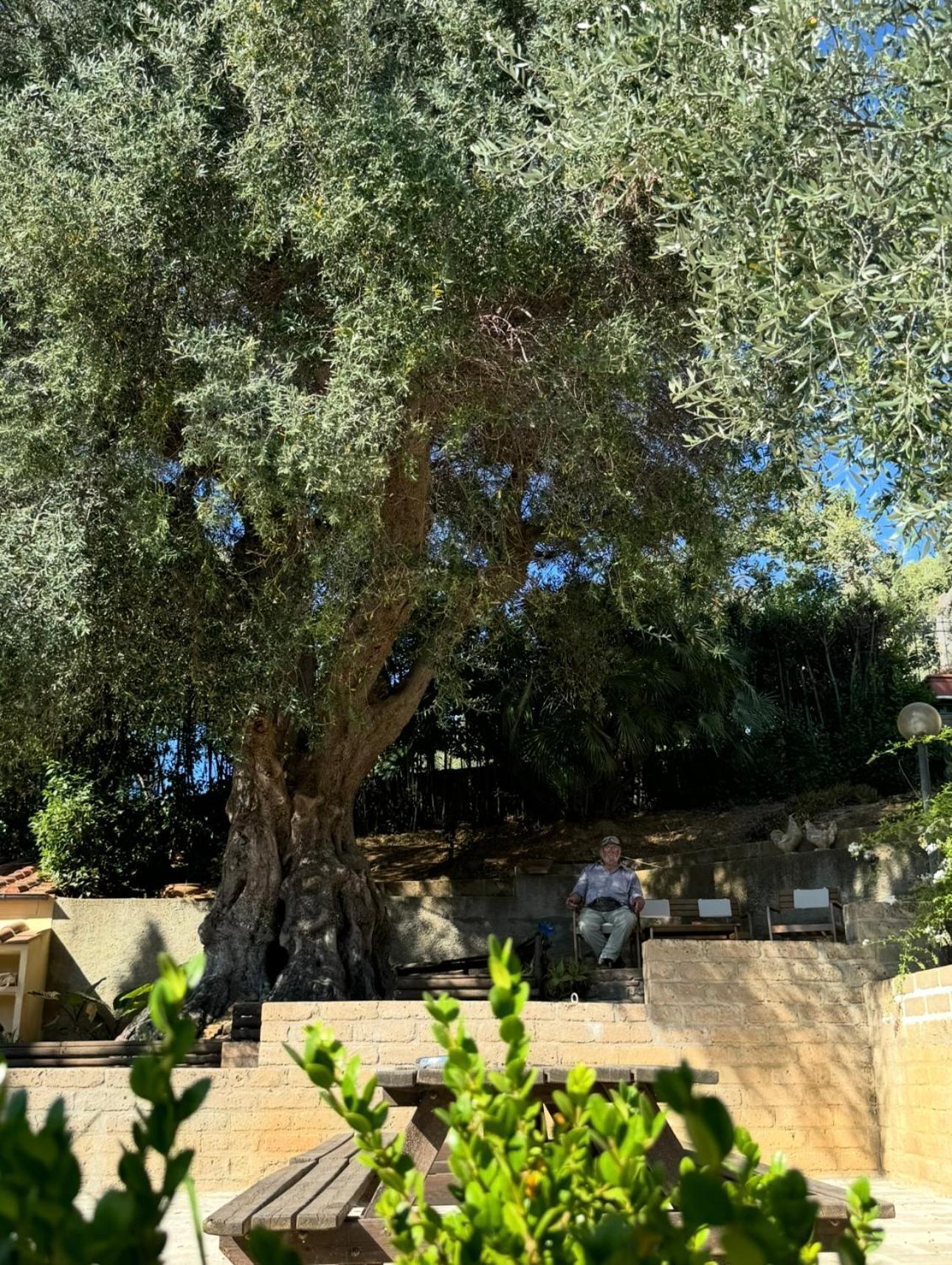Aparthotel Madonna Del Poggio Cav Scarlino Exteriér fotografie