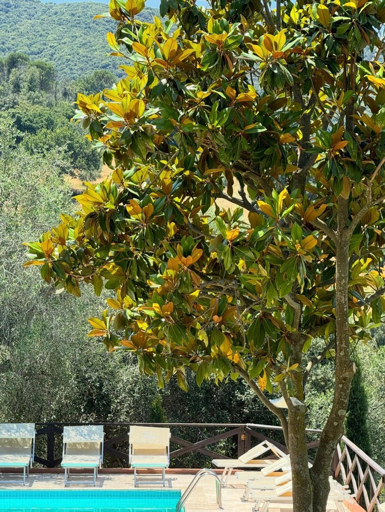Aparthotel Madonna Del Poggio Cav Scarlino Exteriér fotografie